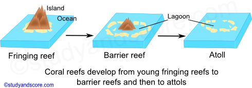 coral reef, fringing reef, barrier reef, atoll, ocean, corals, phylum cnidaria